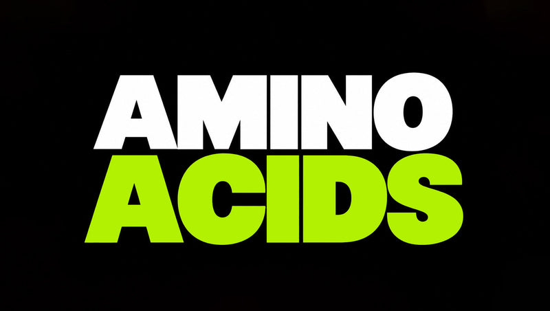 Amino Acids