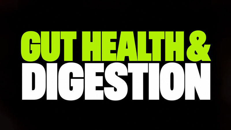 Gut Health & Digestion