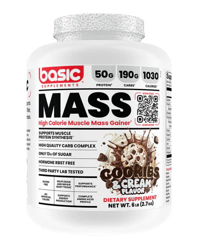 BASIC MASS GAINER