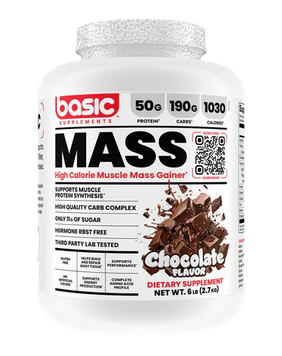 BASIC MASS GAINER