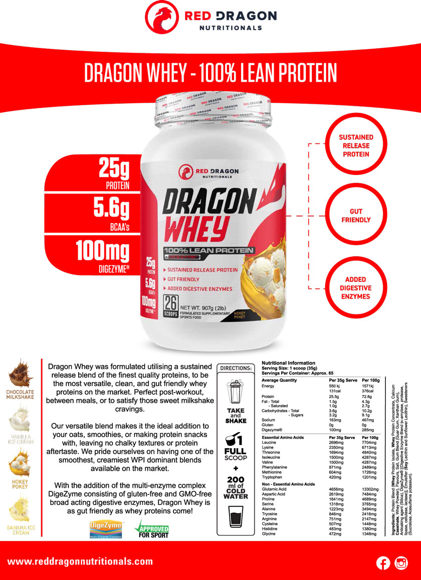 RDN DRAGON WHEY PROTEIN 450Gms