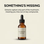 Australian Grown Cordyceps Mushroom