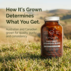 Forest Mushroom Blend Capsules