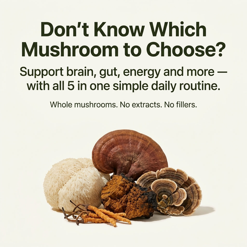 Forest Mushroom Blend Capsules