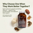 Forest Mushroom Blend Capsules