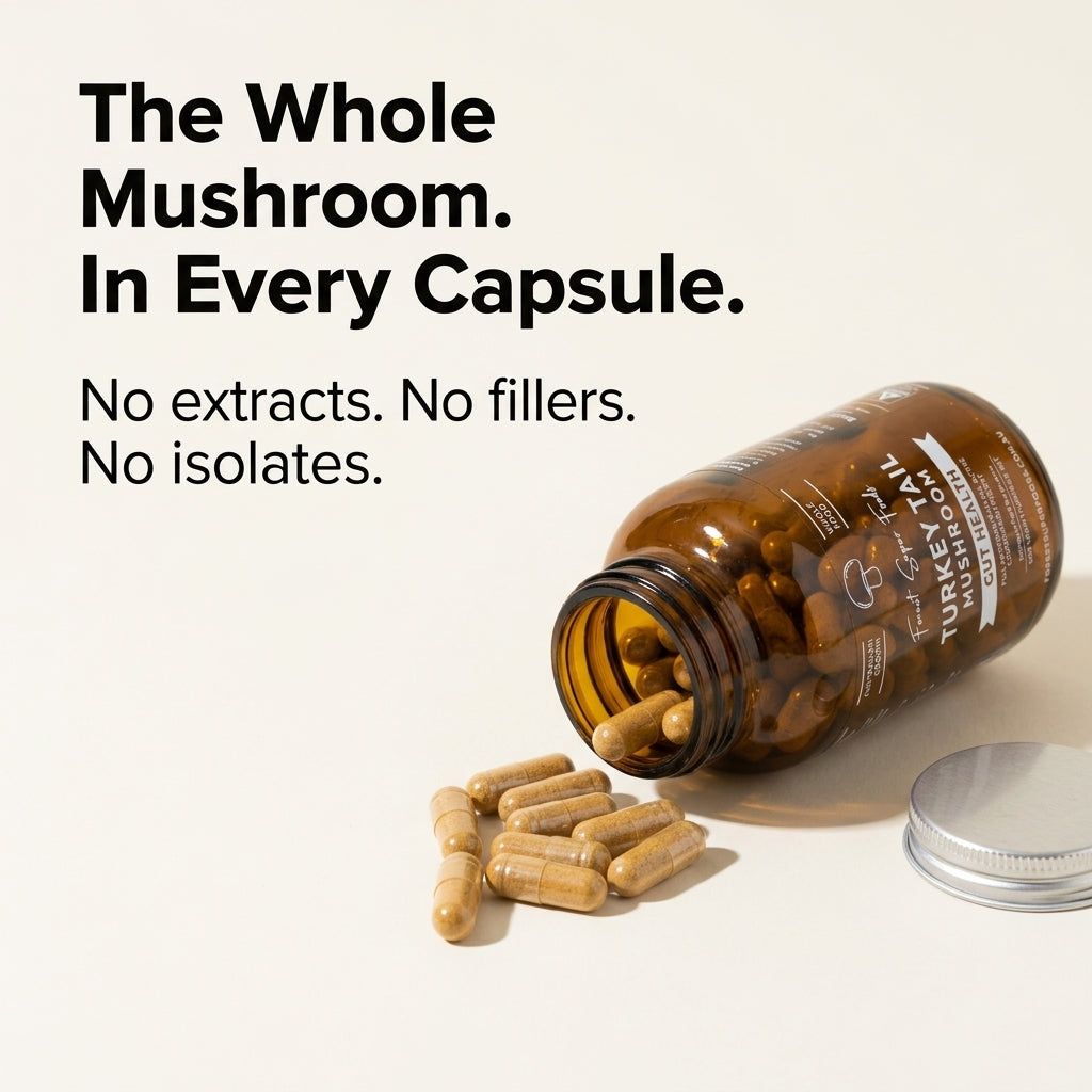 Australian Grown Turkey Tail Capsules